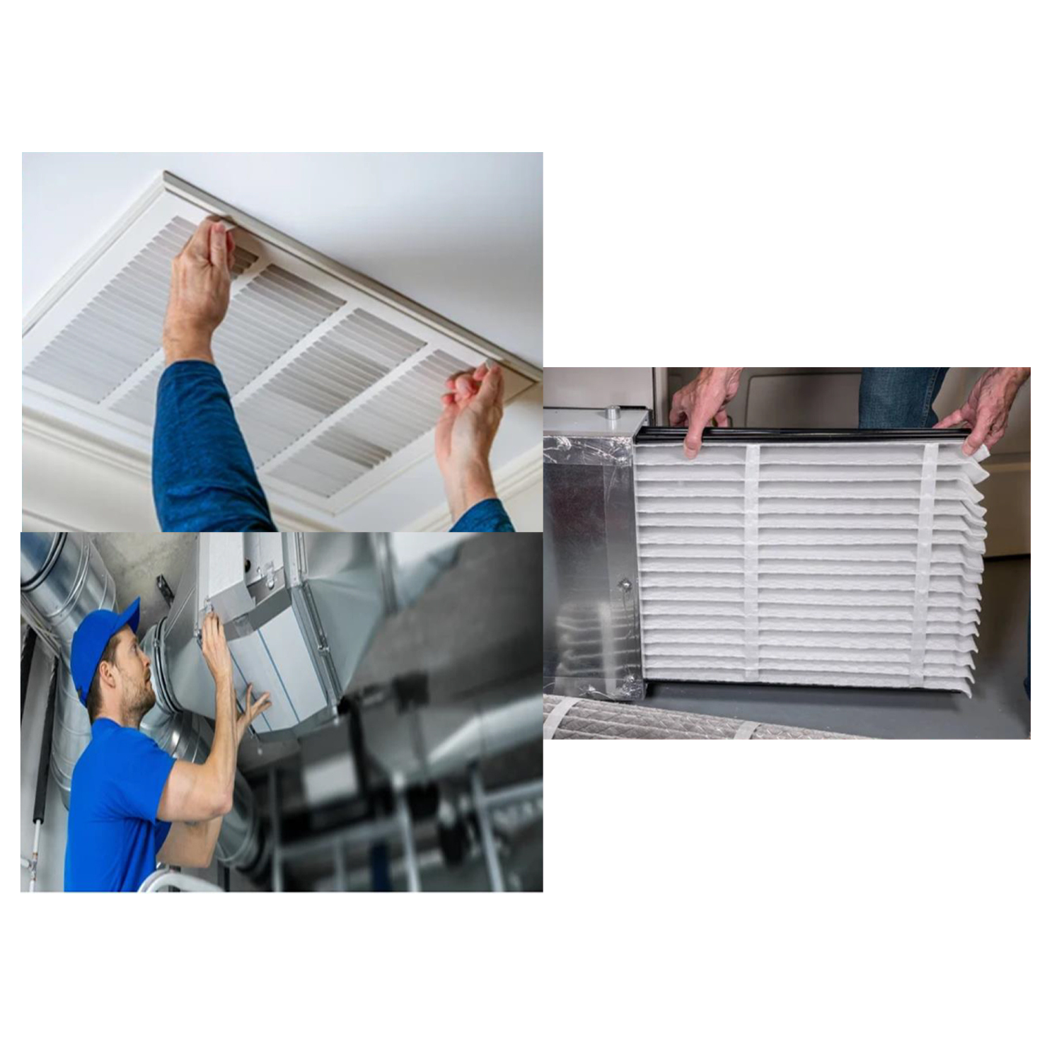 Rice and Dal Milling