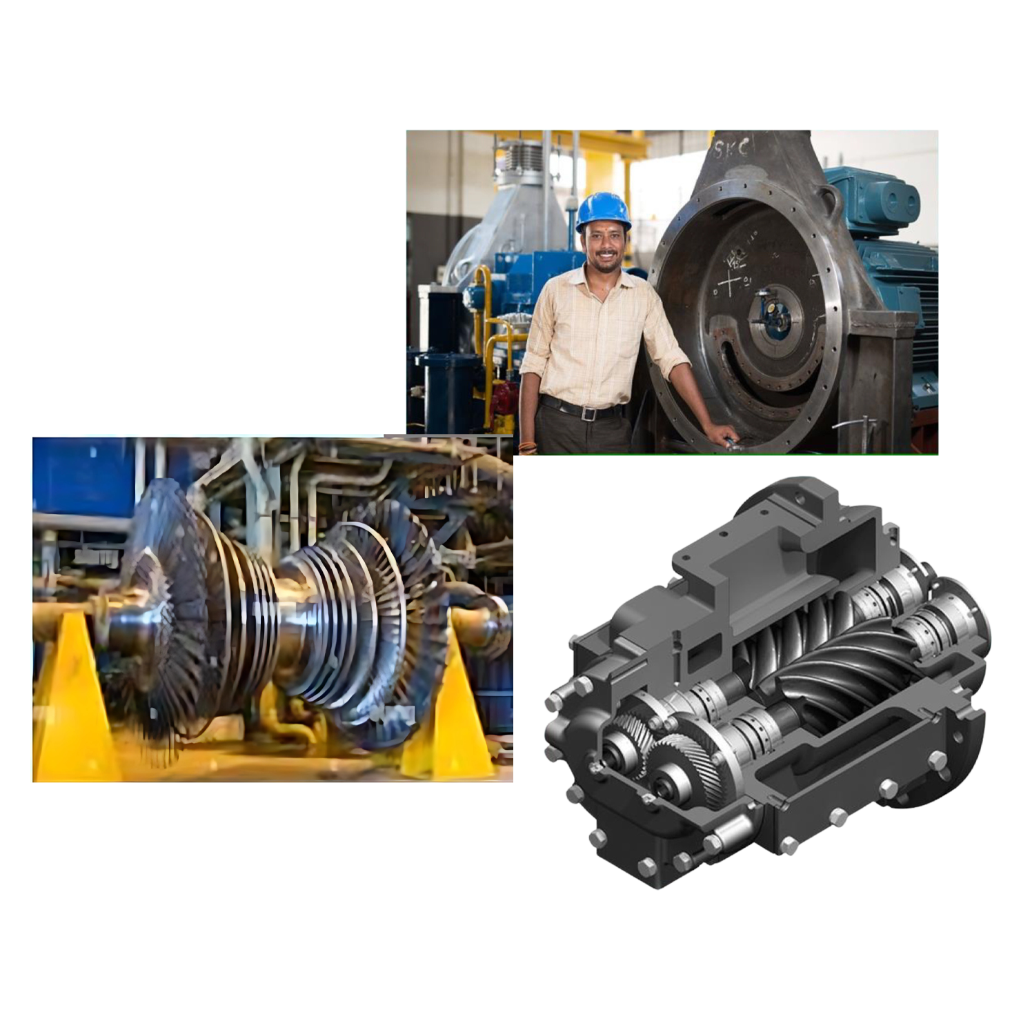 Rice and Dal Milling 